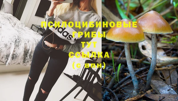 бутират Михайлов