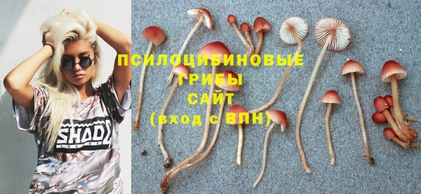 марки lsd Михайловка