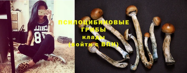 бутират Михайлов