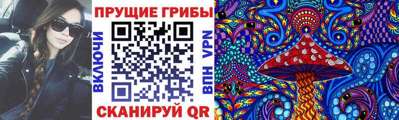 гидра как войти  Новотроицк  Галлюциногенные грибы Magic Shrooms  как найти наркотики 
