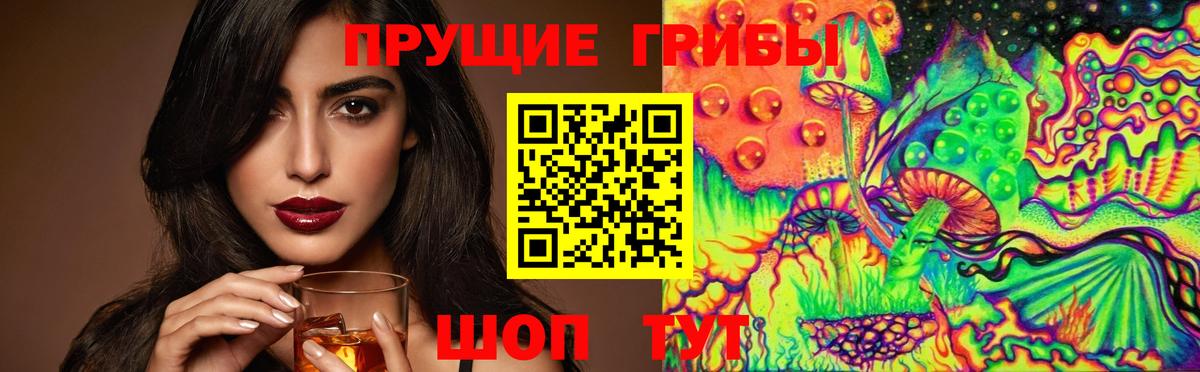 Галлюциногенные грибы Psilocybe  Вход с VPN  Новотроицк  Псилоцибиновые грибы Psilocybe 