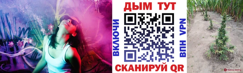 Бошки Шишки LSD WEED Новотроицк